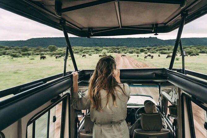4 days Awesome Luxury safari Tarangire Serengeti & Ngorongoro - Day three: sunrise and predators in the Serengeti