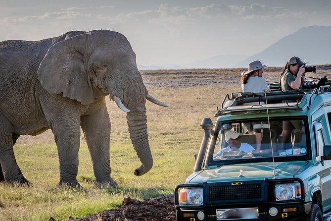 4 days Awesome Luxury safari Tarangire Serengeti & Ngorongoro - Day two: the long road to central Serengeti