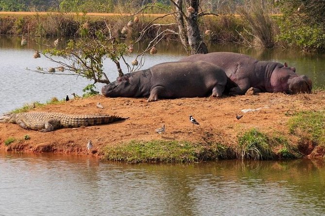 4 Days Luxury Lodge Safari Tour Tanzania - Day four: the 650-meter descent into Ngorongoro Crater