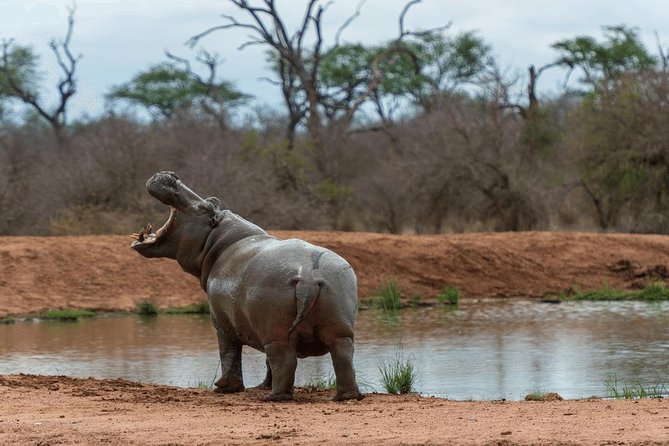 4 Days Luxury Lodge Safari Tour Tanzania - Meals, vehicle, and group size
