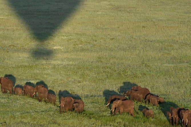 4 days luxury safari (a dream experience) - Day 3: Leaving Serengeti for the crater rim
