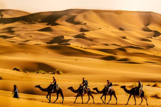 4 Days Sahara Desert VIP Private Tour from Marrakech & Luxuy Camp - What $729 buys you in four days