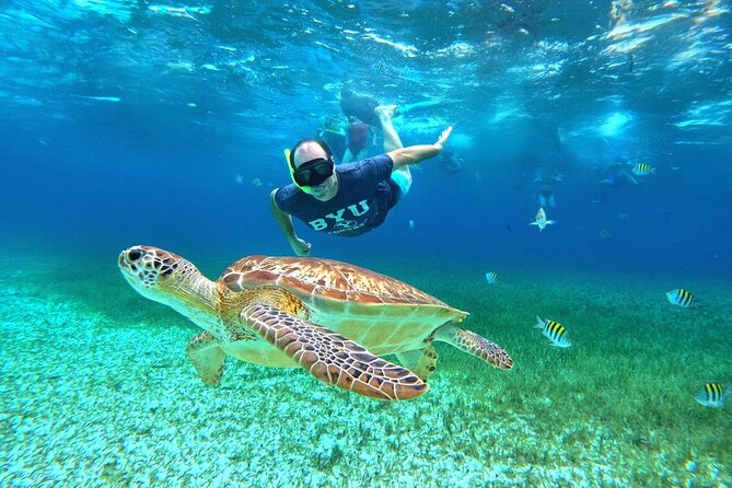 4 Hour Cozumel Turtle Sanctuary Experience on a Luxury Catamarán - What the Four-Hour Route Actually Feels Like
