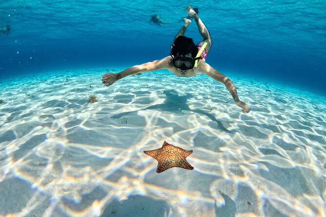 4 Hour Cozumel Turtle Sanctuary Experience on a Luxury Catamarán - El Cielo: Starfish in Clear, Shallow Water