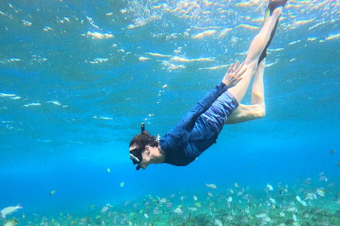 4 Hour Cozumel Turtle Sanctuary Experience on a Luxury Catamarán - Cielito: Stingrays, Snacks, and Sandbar Time