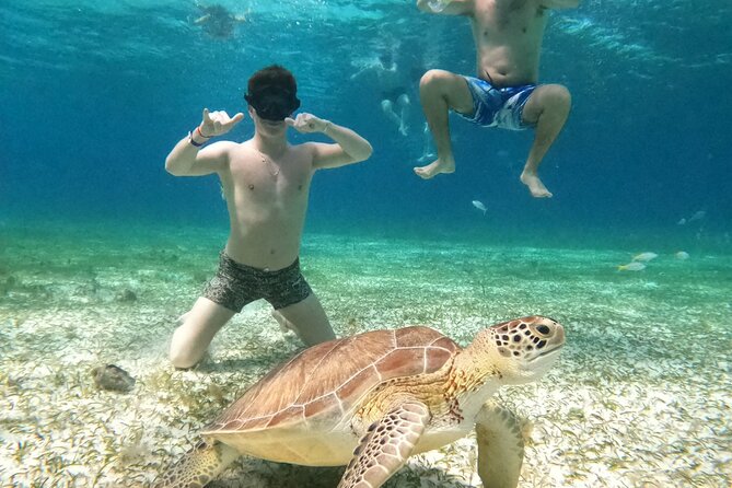 4 Hour Cozumel Turtle Sanctuary Experience on a Luxury Catamarán - Price, Food, and What You Really Get