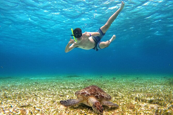 4 Hour Cozumel Turtle Sanctuary Experience on a Luxury Catamarán - Meeting Point, Timing, and Small Practical Details