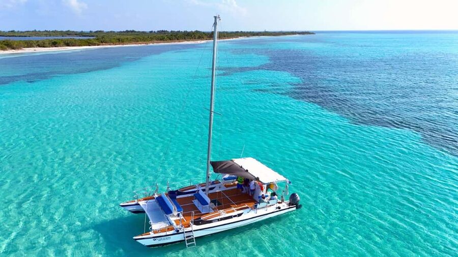 4 Hour Turtle Sanctuary Experience on a Luxury Catamarán - Snorkeling near Cozumel’s green turtles