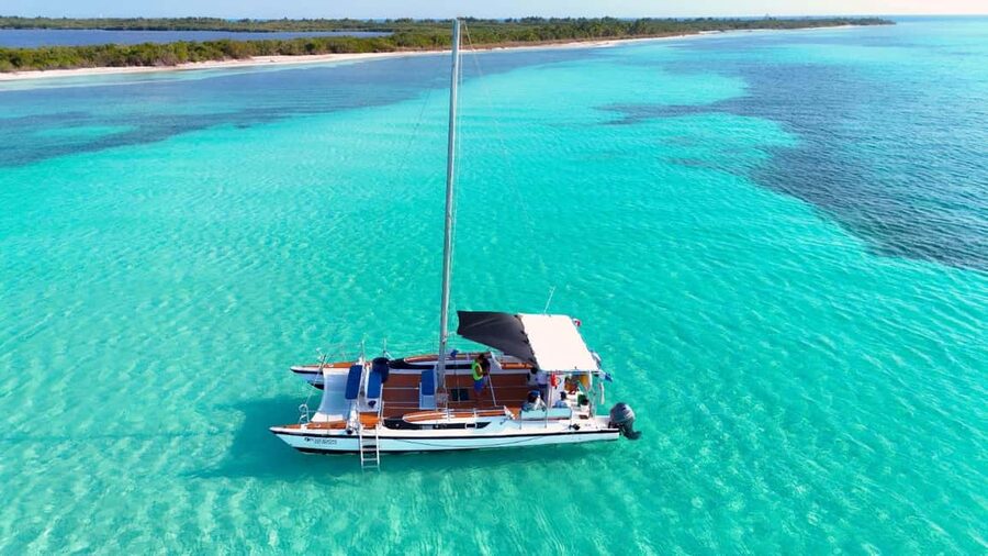 4 Hour Turtle Sanctuary Experience on a Luxury Catamarán - Cielito gives the day a softer finish