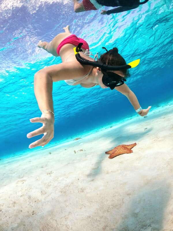 4 Hour Turtle Sanctuary Experience on a Luxury Catamarán - Crew service can shape the whole outing