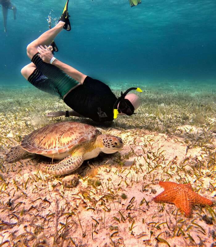 4 Hour Turtle Sanctuary Experience on a Luxury Catamarán - Who should book, and who should skip it