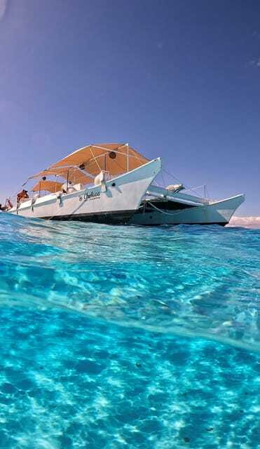 4 Hour Turtle Sanctuary Experience on a Luxury Catamarán - Should you book the four-hour catamaran?