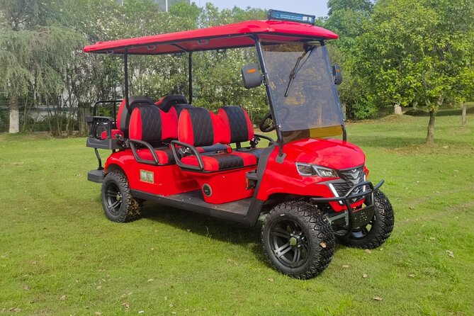 4 Seater Luxury Golf Carts Rental in Grand Turk - The main drawbacks to weigh