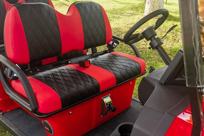 4 Seater Luxury Golf Carts Rental in Grand Turk - Who will get the most from this rental