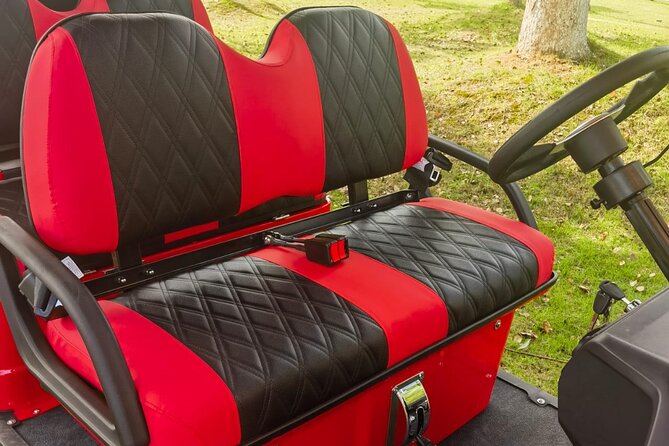 4 Seater Luxury Golf Carts Rental in Grand Turk - What you get for the $220 group price