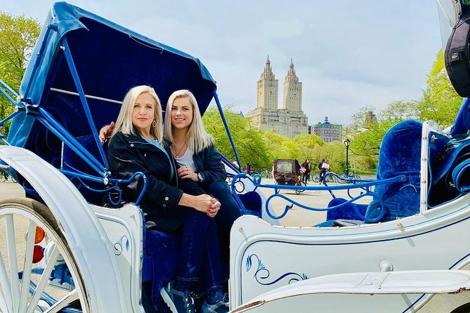 45 min Long VIP Central park carriage ride - Key points to know before booking