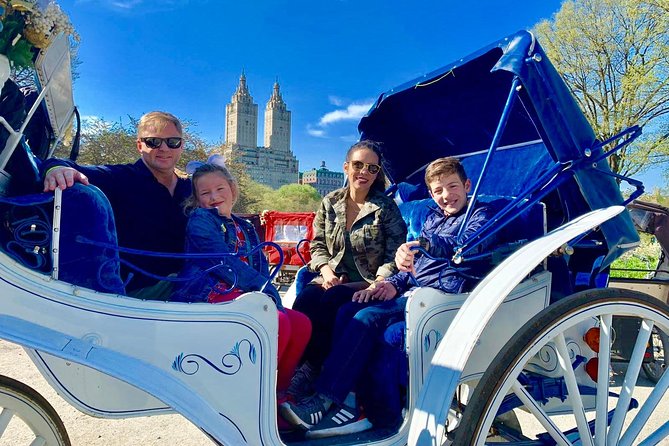 45 min Long VIP Central park carriage ride - The Carousel, Balto, and the Mall