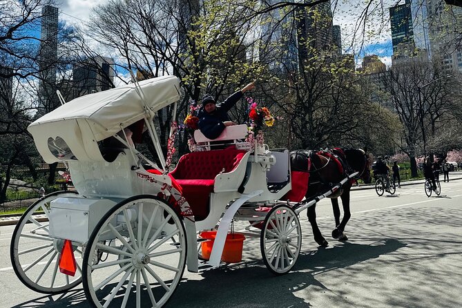45 min Long VIP Central park carriage ride - Cherry Hill is the useful photo stop