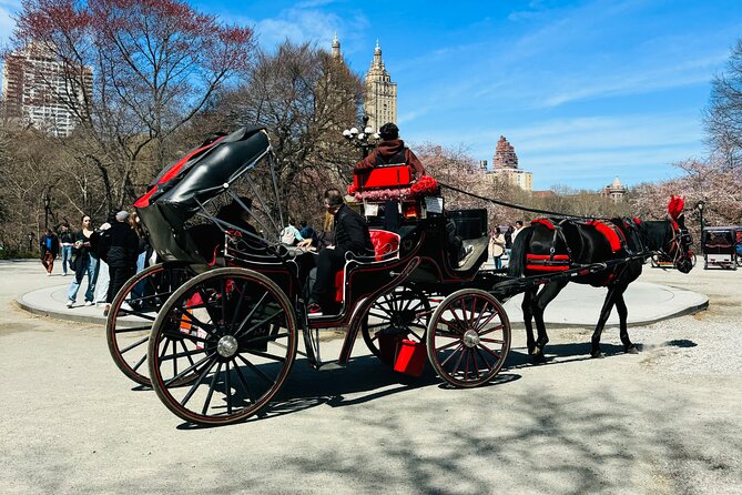 45 min Long VIP Central park carriage ride - Strawberry Fields and the western park sights