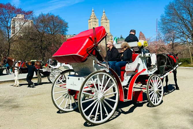 45 min Long VIP Central park carriage ride - Columbus Circle and the return route