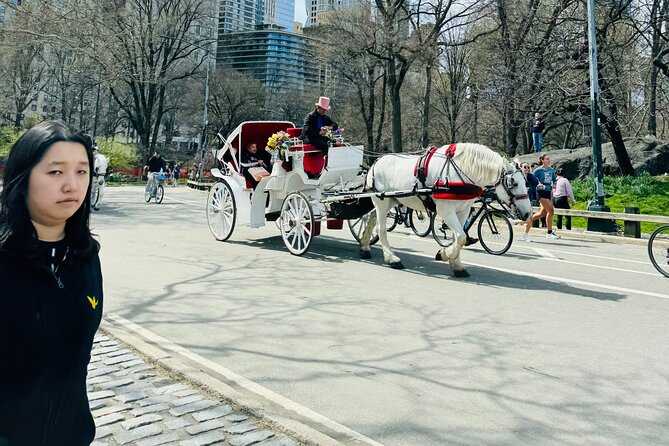 45 min Long VIP Central park carriage ride - What the driver adds to the ride