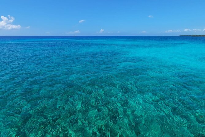 4H Luxury 44' Catamaran All-Inclusive in Tulum & Playa del Carmen - Ceviche, snacks, and an open bar