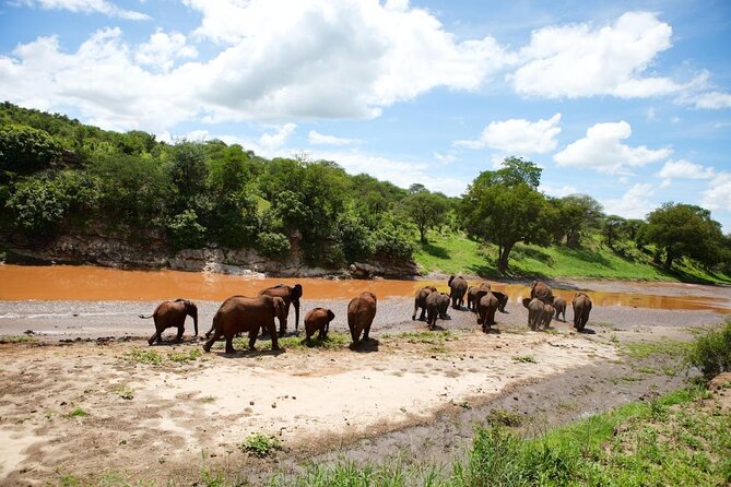5 Days Best of Tanzania Luxury Safari Northern Circuit - Five details that shape this safari