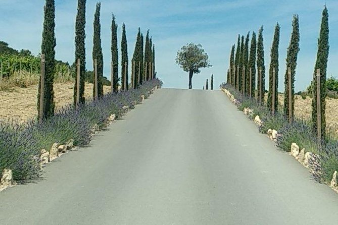 5-Hour Private Sightseeing Tour of the Provence from Marseille in Luxury Car - Price, timing, and real value