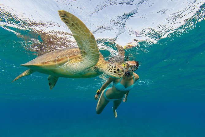 50' Luxury Yacht. Private Full or Half Day Catamaran Snorkel, & Beach Experience - Families, Wildlife, and Service