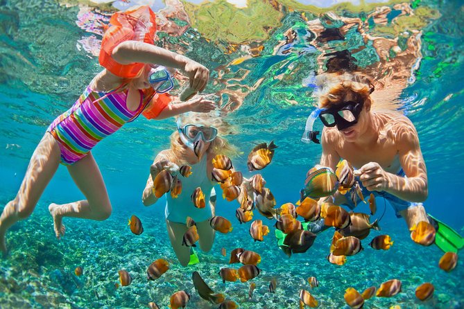 50' Luxury Yacht. Private Full or Half Day Catamaran Snorkel, & Beach Experience - Life Aboard the SY Sirena