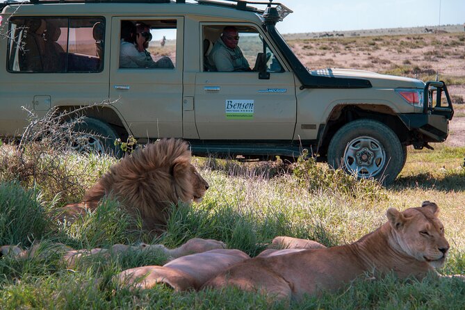 6 Days Lodge & Tented Camp Luxury - The Serengeti Trail & Tarangire - The road to Serengeti and the optional Maasai visit