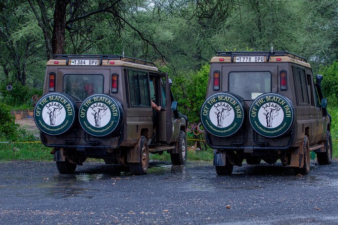 6 Days Luxury Northern Circuit Safari - A Glimpse of Tanzania Adventure - Tarangire: elephants, baobabs, and a strong first game drive
