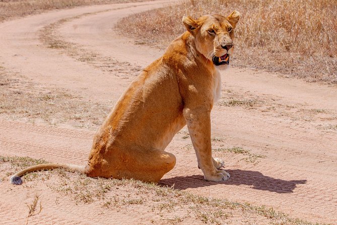6 Days Luxury Northern Circuit Safari - A Glimpse of Tanzania Adventure - Lake Manyara: forest shade and the Rift Valley escarpment
