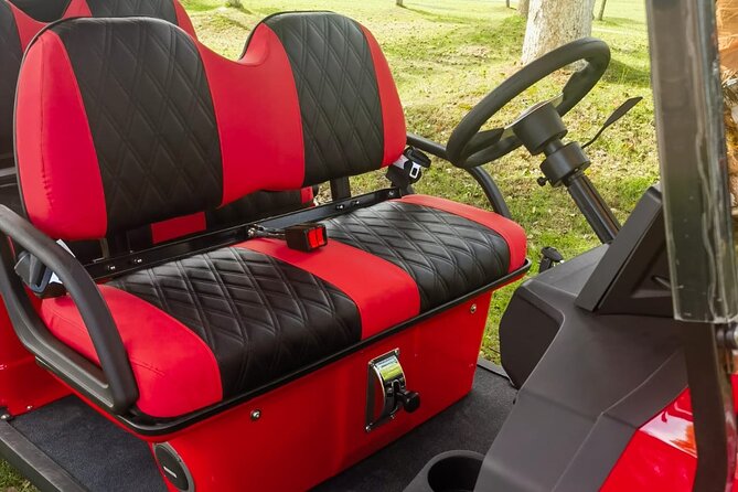6 Seater Luxury Golf Carts Rental in Grand Turk - Historic downtown and the donkey reference