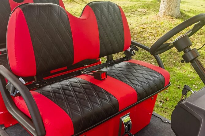6 Seater Luxury Golf Carts Rental in Grand Turk - Speed, handling, and one important caution