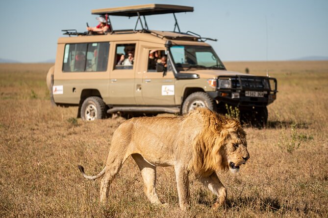 7-Day Premium Luxury Tanzania Safari All-Inclusive - Key points before you book