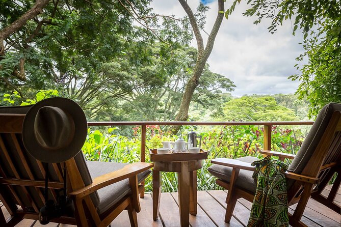 7 Days Best Luxury Safari To Tanzania - Day seven: leaving the Serengeti for Zanzibar