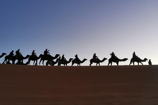 7 Days Discovery The Atlas Mountains & Luxury Sahara Desert From Casablanca - Day 3: A full day in the Fes medina