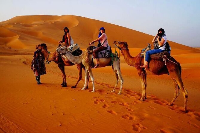 7 Days Luxury Desert Tour From Casablanca to Marrakech via fez -Camel trekking - Day 3: Ifrane, cedar monkeys, and the road to Merzouga