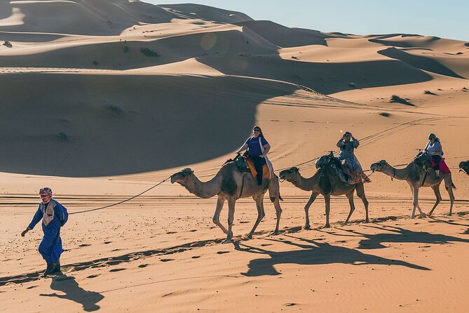 7 Days Luxury Desert Tour From Casablanca to Marrakech via fez -Camel trekking - Day 4: From Merzouga to Todra Gorge and Dades Valley
