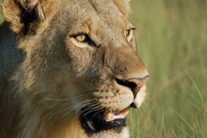 7 Days Tanzania Luxury Safaris - Day 3: the long road to Serengeti