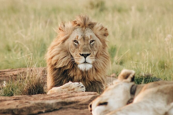 7 Days Tanzania Luxury Safaris - Day 6: the Ngorongoro Crater