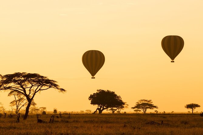 8 Days Green Season Offer - Luxury Serena Safari - Day 1: A gentle start in Arusha