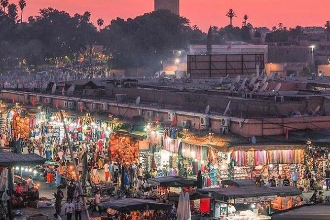 8 Luxury Days Tour Fez to Marrakech via Desert with Transfers airport - Day 3: Cedar forests, high valleys, and the road to Merzouga