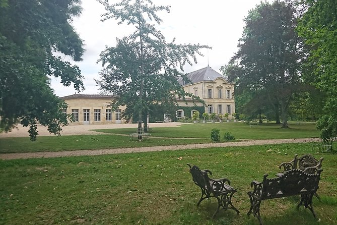 A day in Saint-Emilion in a small group (Electric Luxury Van) - Lunch in the vineyards