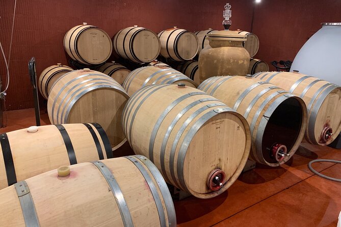 A day in Saint-Emilion in a small group (Electric Luxury Van) - What the $301 price really covers