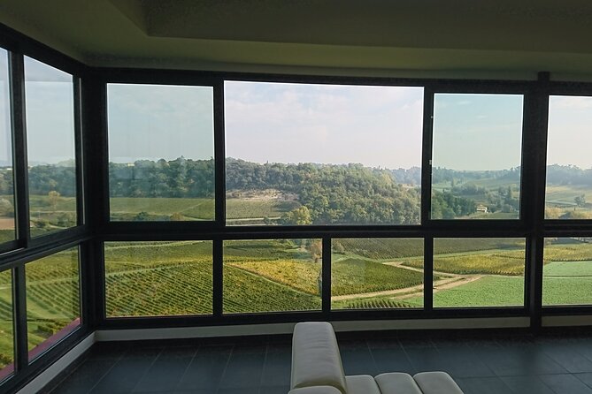 A day in Saint-Emilion in a small group (Electric Luxury Van) - Château Franc-Mayne and the story below the soil