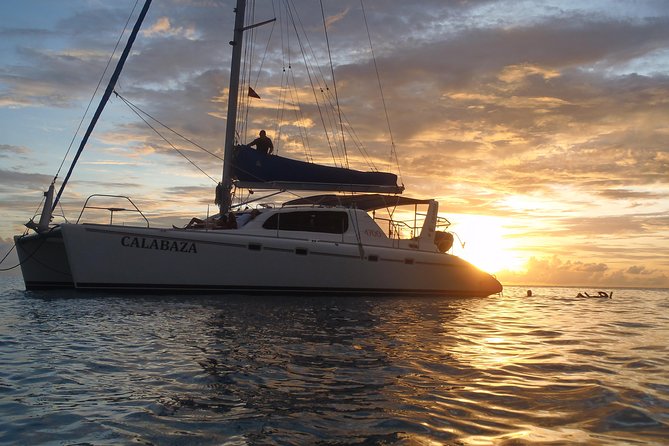 Afternoon Luxury Catamaran Sailing and Charter Cruise from Bridgetown - What makes this Barbados sailing worth your afternoon