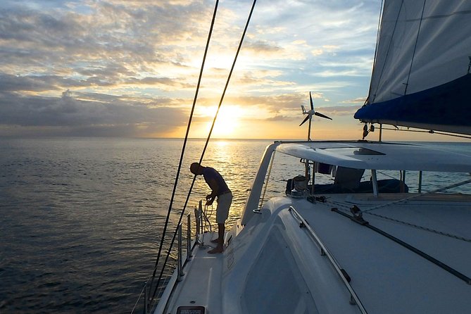 Afternoon Luxury Catamaran Sailing and Charter Cruise from Bridgetown - Second stop: shipwrecks, reefs, and fish