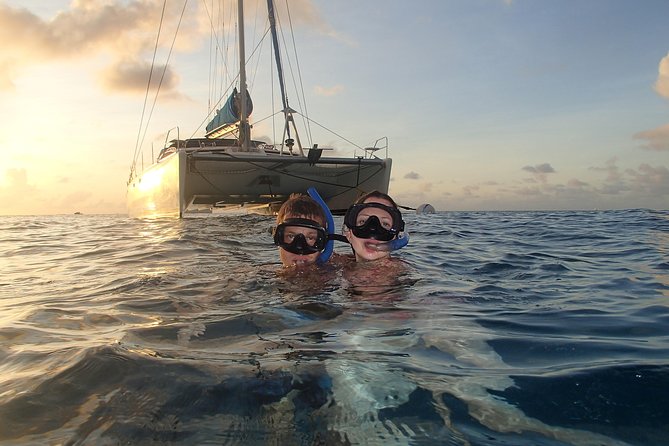 Afternoon Luxury Catamaran Sailing and Charter Cruise from Bridgetown - First snorkel stop: turtles in the afternoon